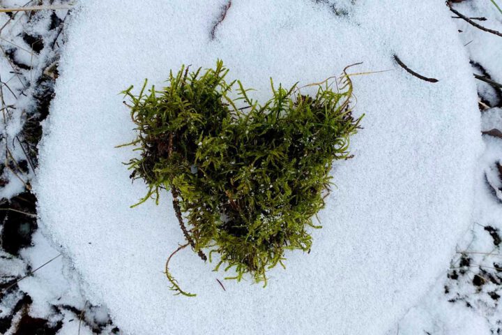 Herz im Schnee - Yoga in Olpe - tanzundfreiraum.de Herz im Schnee - Yoga in Olpe - tanzundfreiraum.de
