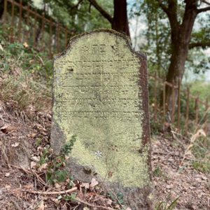 Bewegte Stille - Jüdischer Friedhof in Oberwesel - www.tanzundfreiraum.de