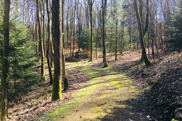 Kloster - Mutterhaus der Franziskanerinnen - YogaRetrat - Tanzundfreiraum.de