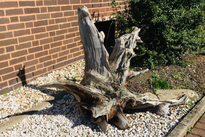 Kloster - Mutterhaus der Franziskanerinnen - YogaRetrat - Tanzundfreiraum.de